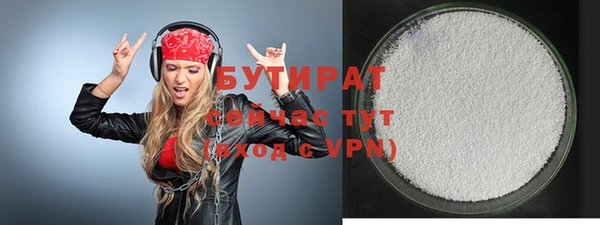 прущие грибы Няндома