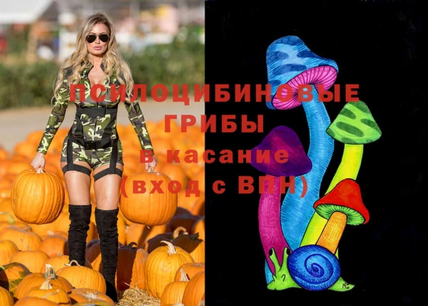 прущие грибы Няндома