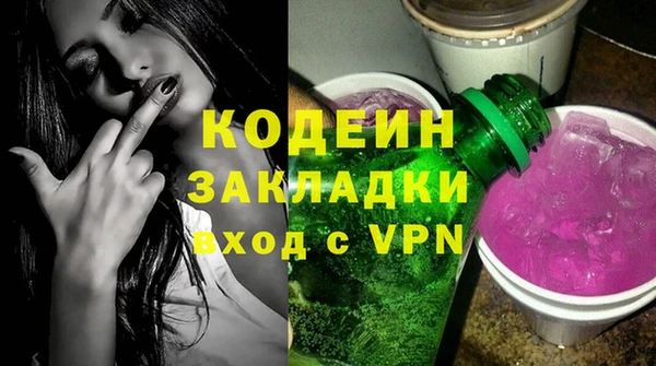 прущие грибы Няндома