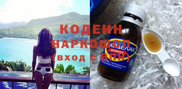 прущие грибы Няндома