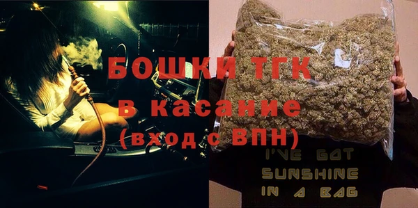 прущие грибы Няндома