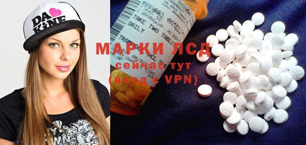 прущие грибы Няндома