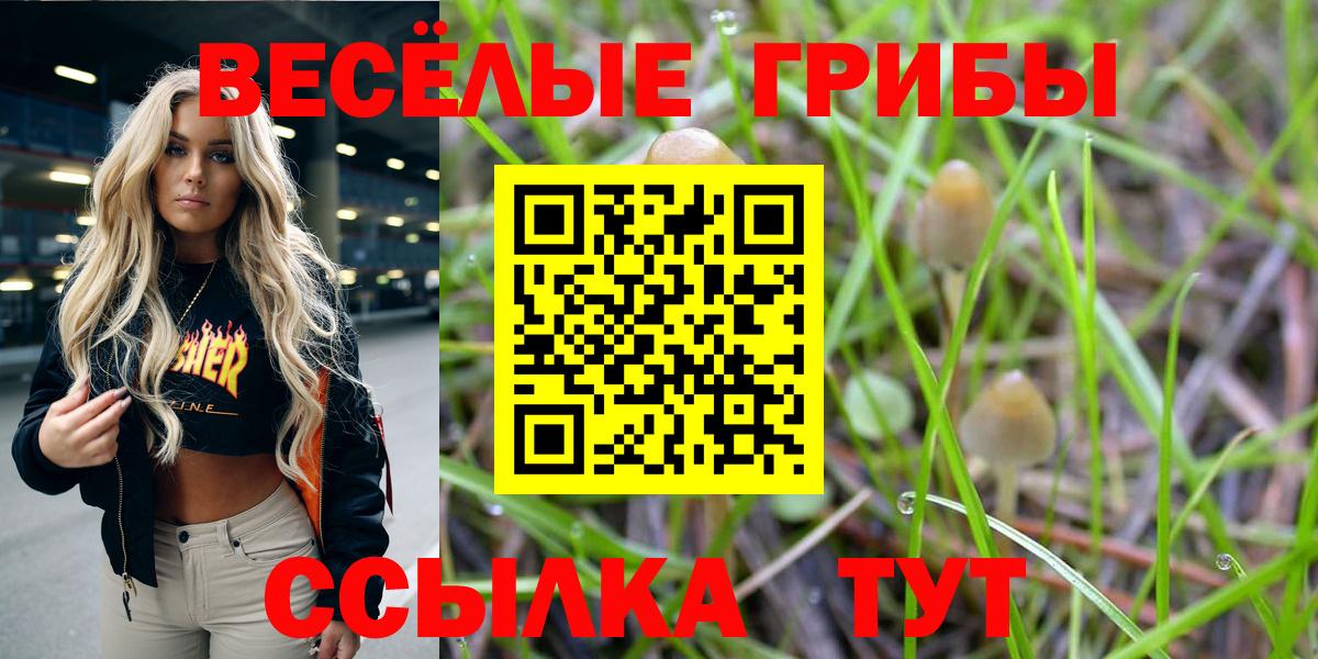 Псилоцибиновые грибы мицелий  Вход с VPN  Галлюциногенные грибы GOLDEN TEACHER  купить   Учалы 